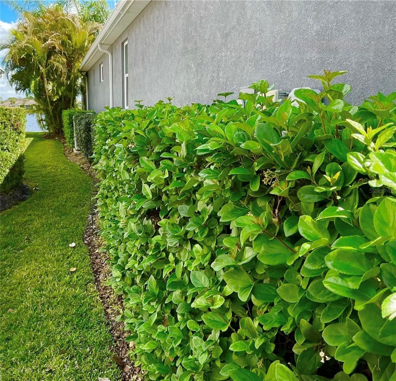 1025 Siberian Glen, Bradenton, FL 34212 Photo