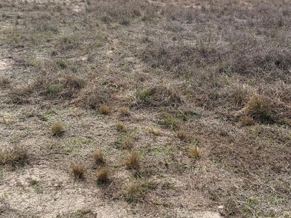 1511 COLUMBUS AVENUE , LEHIGH ACRES, FL 33972