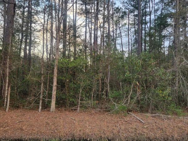 Tract 8 Fennell Town Road , Rocky Point, NC 28457