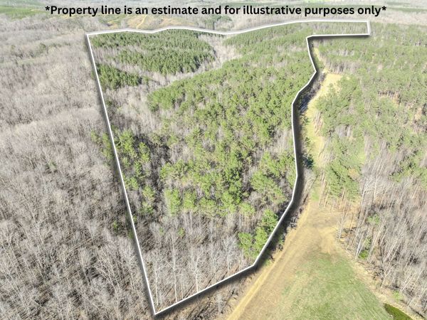 0 Bryant Boswell Rd , Westpoint, TN 38486