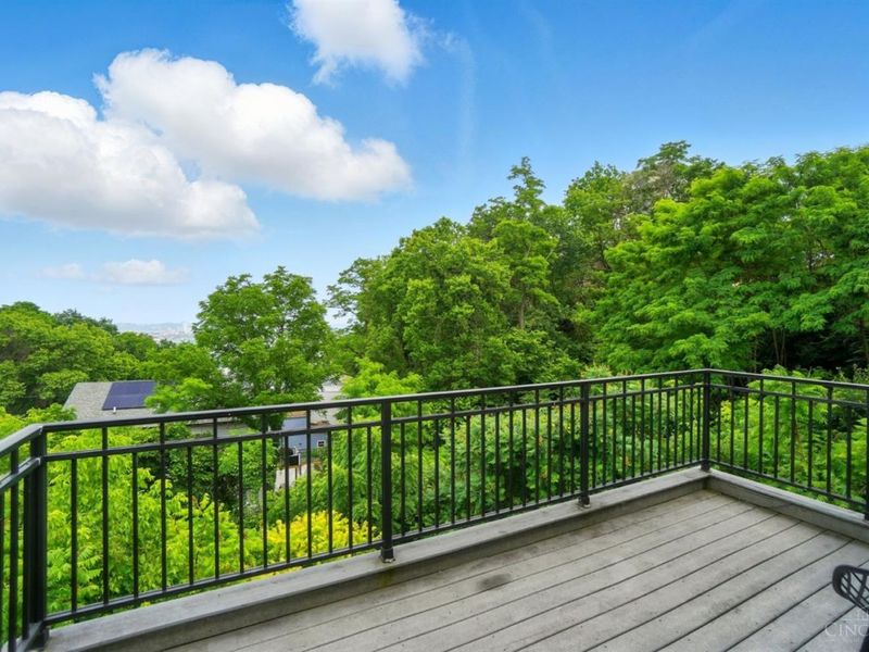 918 Mt Hope Avenue, Cincinnati, OH 45204 Photo 21