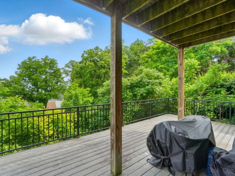 918 Mt Hope Avenue, Cincinnati, OH 45204 Photo 52