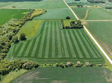 TBD 270th Avenue SW, Hayfield, MN 55940