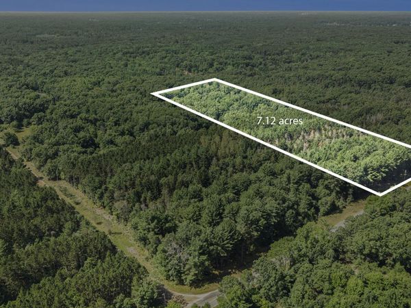 Lot F Hayes Road, Mecosta, MI 49332