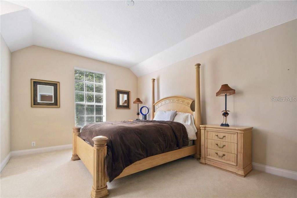 11419 Camden Park Drive, Windermere, FL 34786 Photo