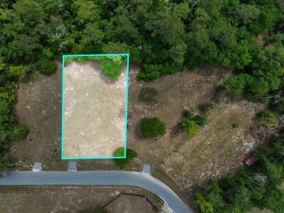 0 Capers Road, Walterboro, SC 29488