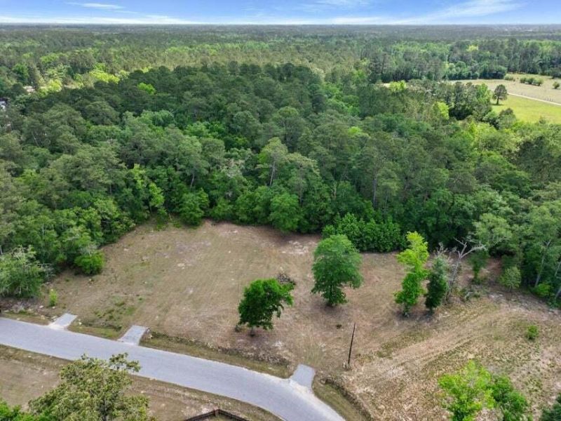 0 Capers Road Photo 5