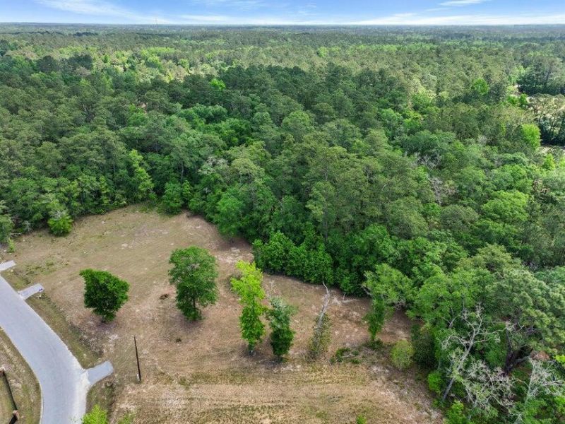 00 Capers Road Photo 4