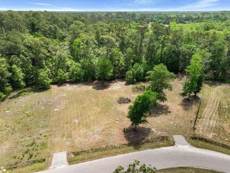 00 Capers Road Photo 6