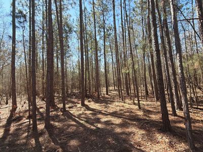 Bhl 10 Boise Cascade, Unit Bhl 10, Bethune, SC 29009