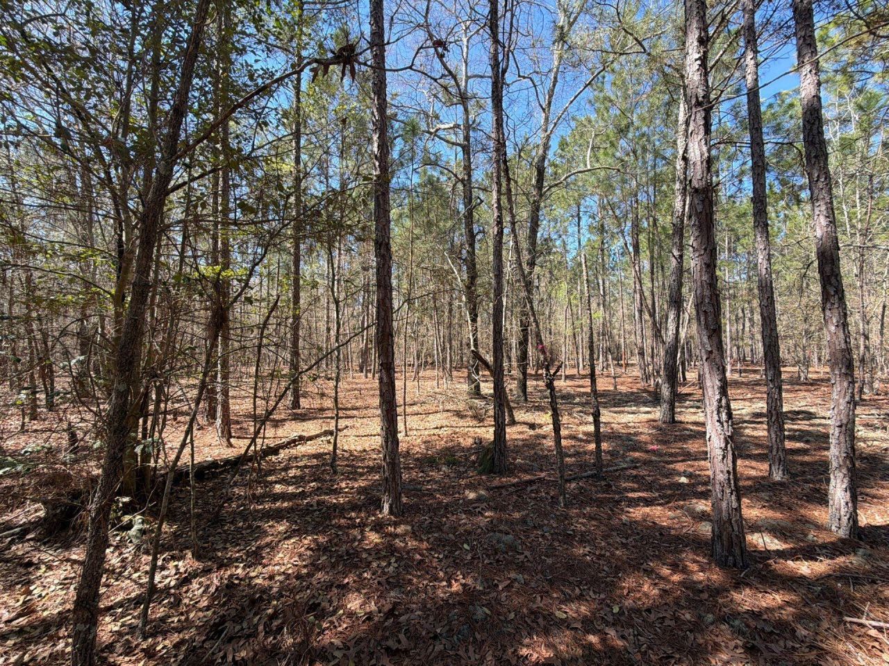 Bhl 10 Boise Cascade Photo 16