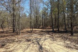 Bhl 10 Boise Cascade photo 4