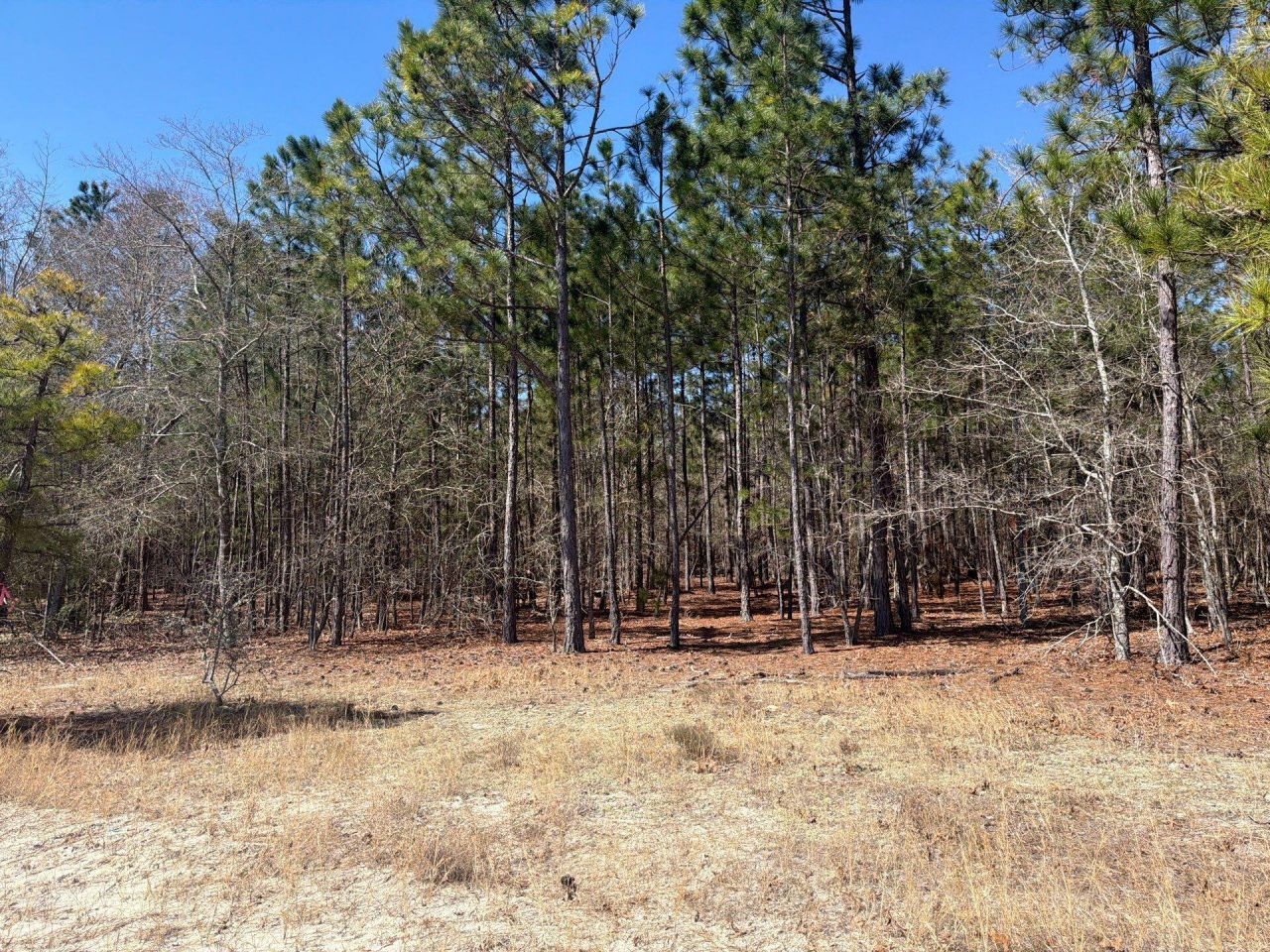 Bhl 10 Boise Cascade Photo 21