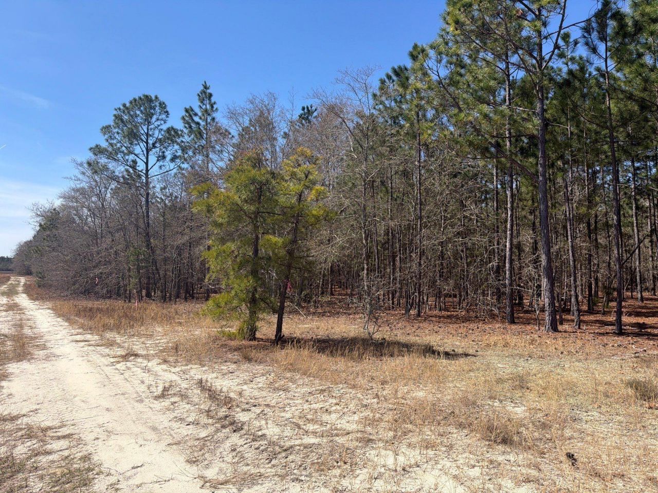 Bhl 10 Boise Cascade Photo 22