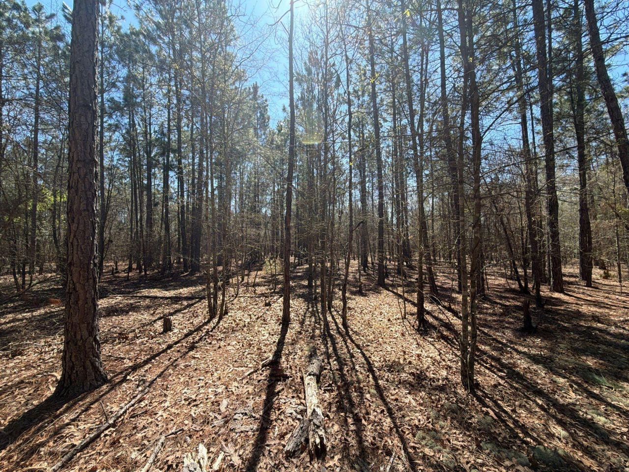 Bhl 10 Boise Cascade Photo 8