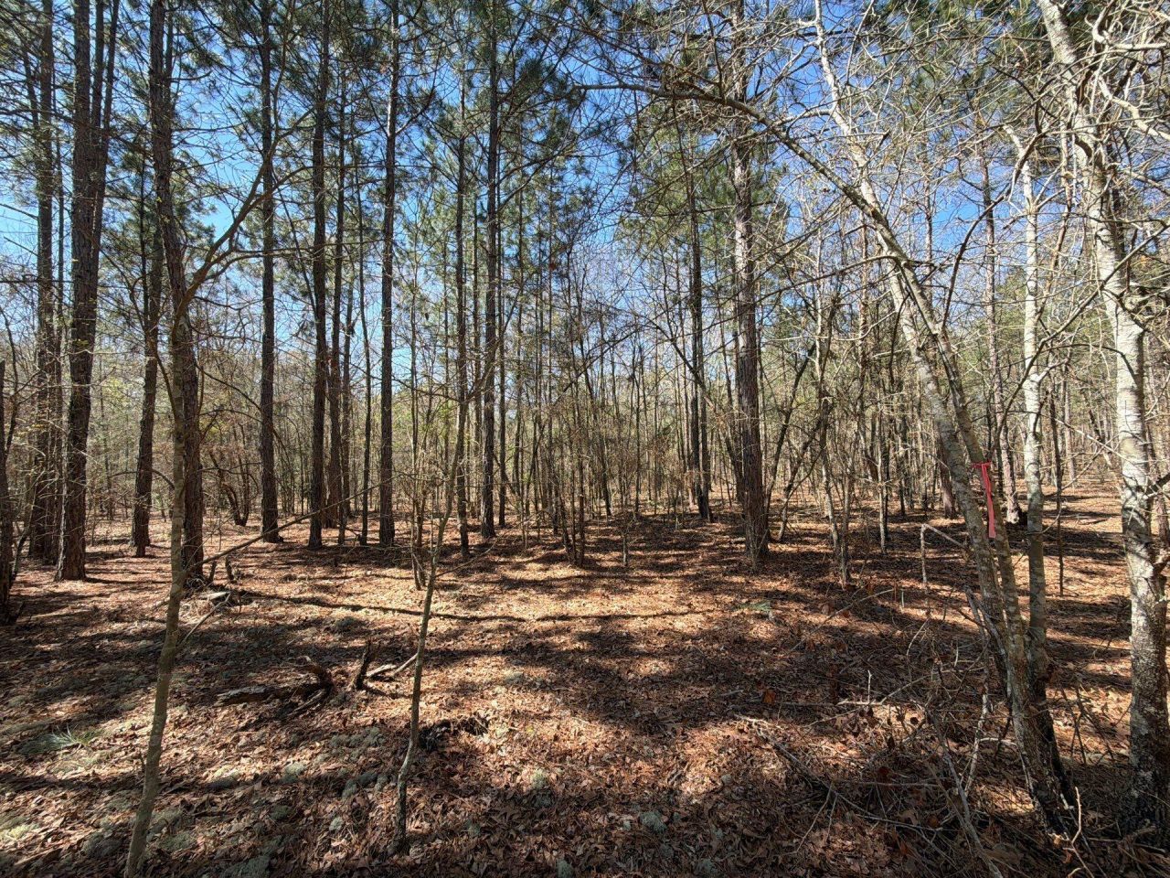 Bhl 10 Boise Cascade Photo 9