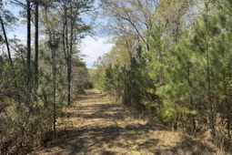 0 Getaway Lane photo 4