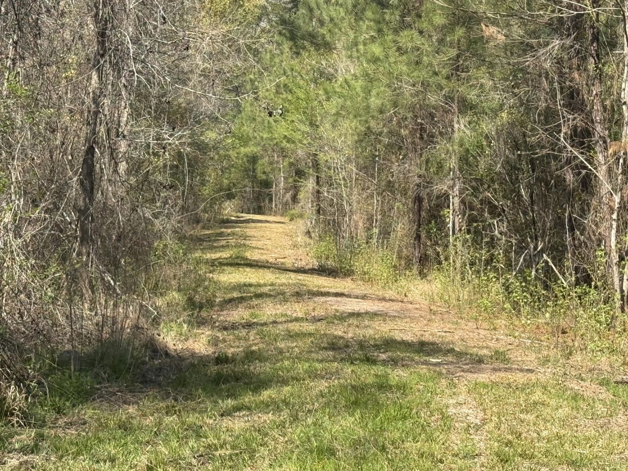 0 Getaway Lane Photo 4