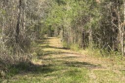 0 Getaway Lane photo 4