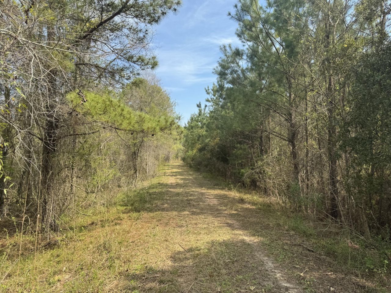 0 Getaway Lane Photo 7