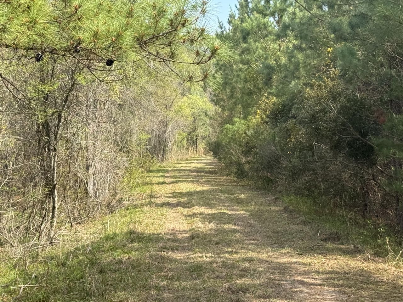 0 Getaway Lane Photo 8