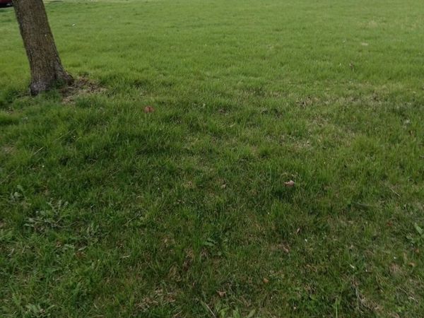 0 Montgomery Avenue, Springfield, OH 45506