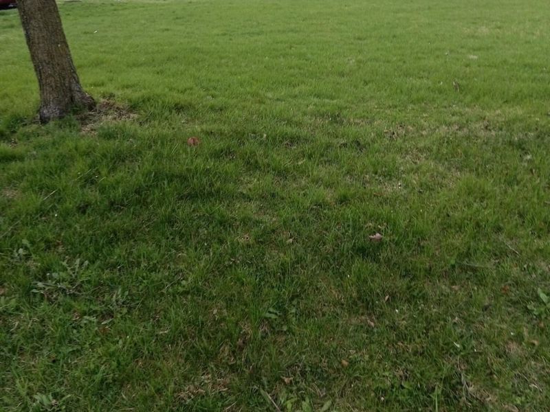 0 Montgomery Avenue, Springfield, OH 45506 Photo 1