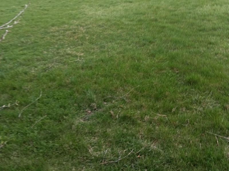 0 Montgomery Avenue, Springfield, OH 45506 Photo 3