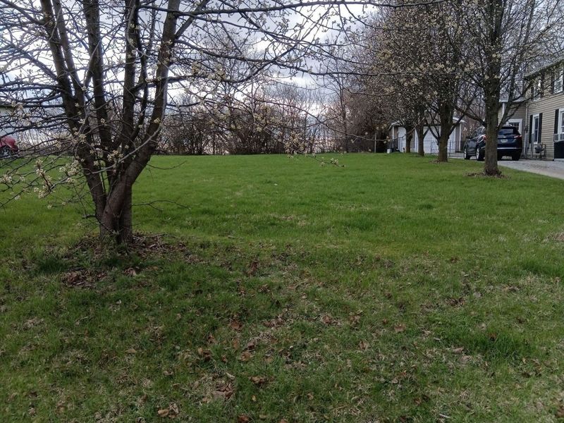 0 Montgomery Avenue, Springfield, OH 45506 Photo 4