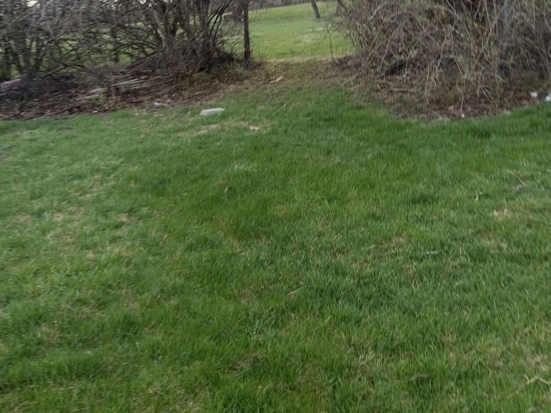 0 Montgomery Avenue, Springfield, OH 45506 Photo 5