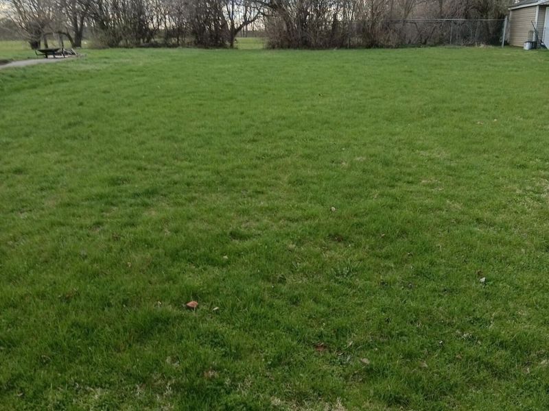 0 Montgomery Avenue, Springfield, OH 45506 Photo 6