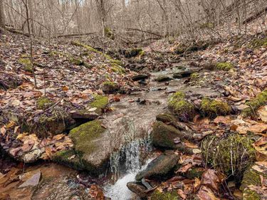 Lot 1 Red Rock Road, Rowlesburg, WV 26425