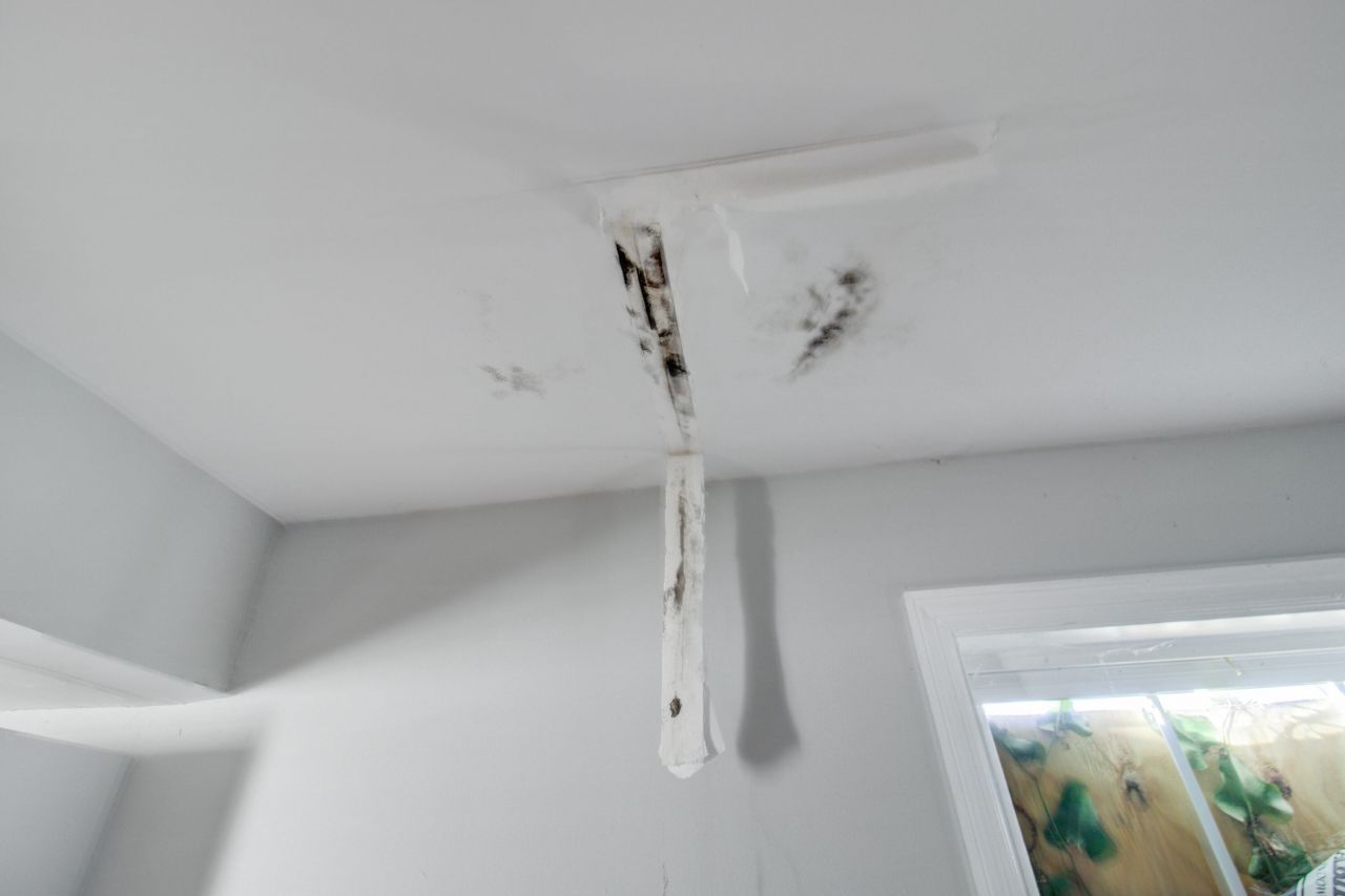 30 Poinsett Street Photo 28