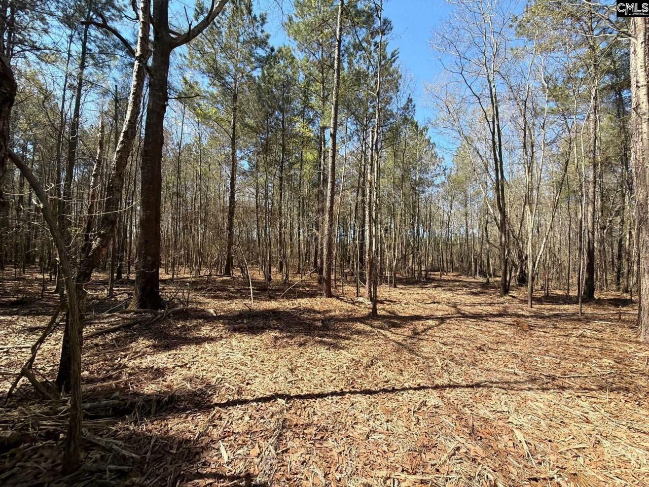 Bhl 11 Boise Cascade Road Photo 8