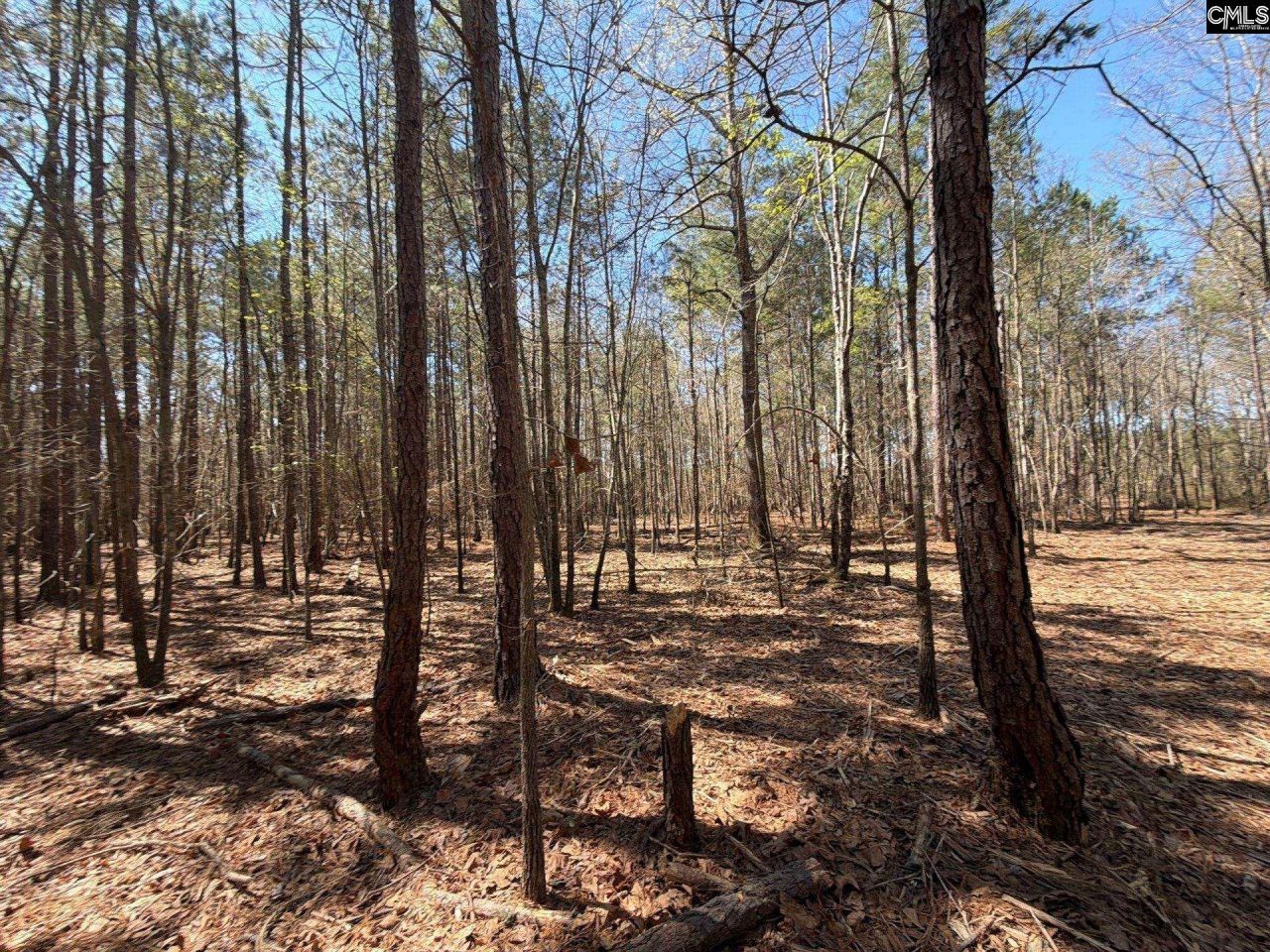 Bhl 11 Boise Cascade Road Photo 9