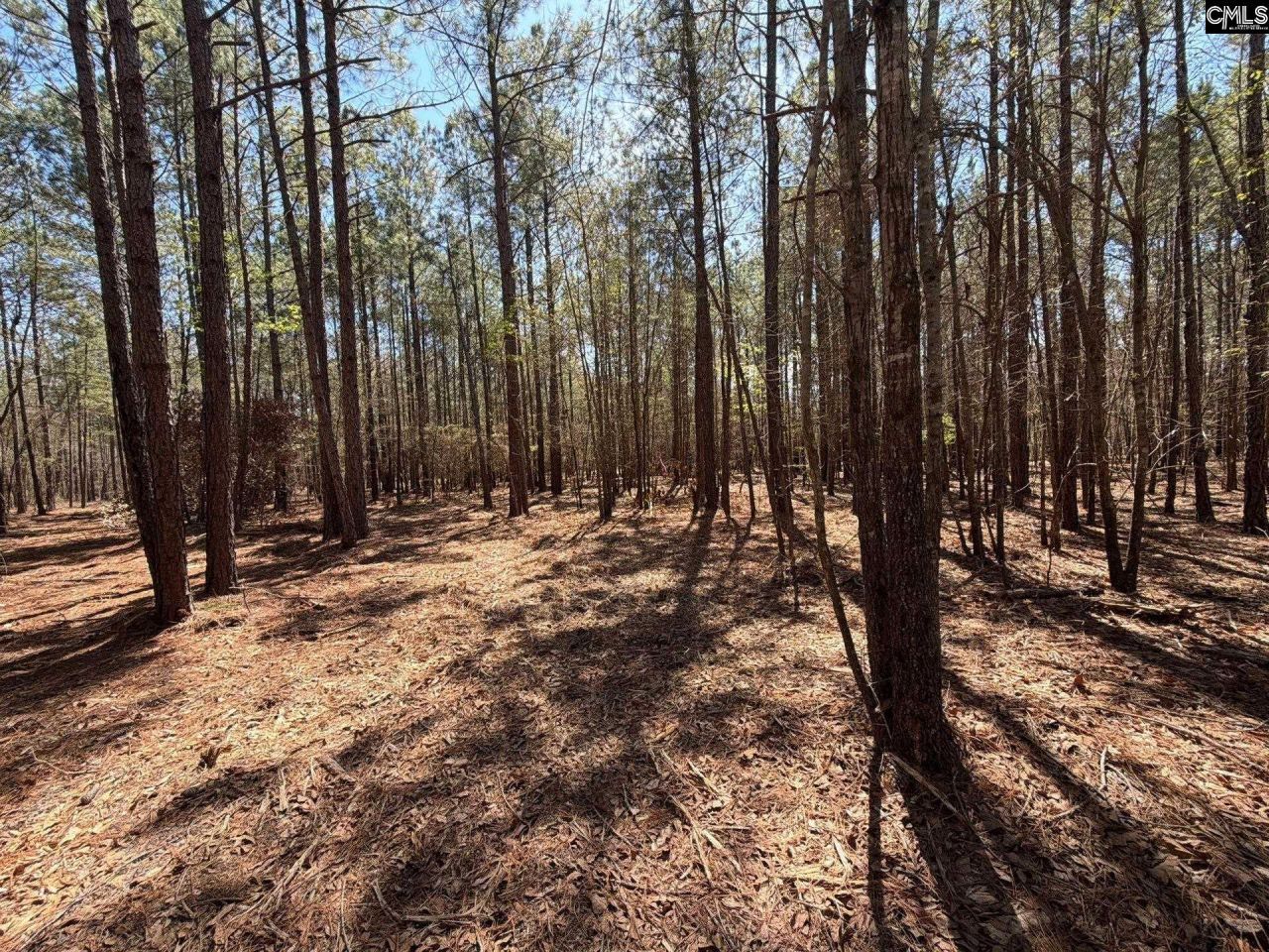 Bhl 11 Boise Cascade Road Photo 11