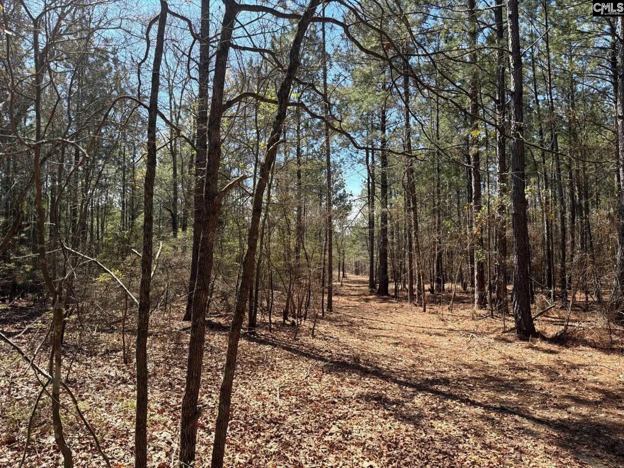 Bhl 11 Boise Cascade Road Photo 12