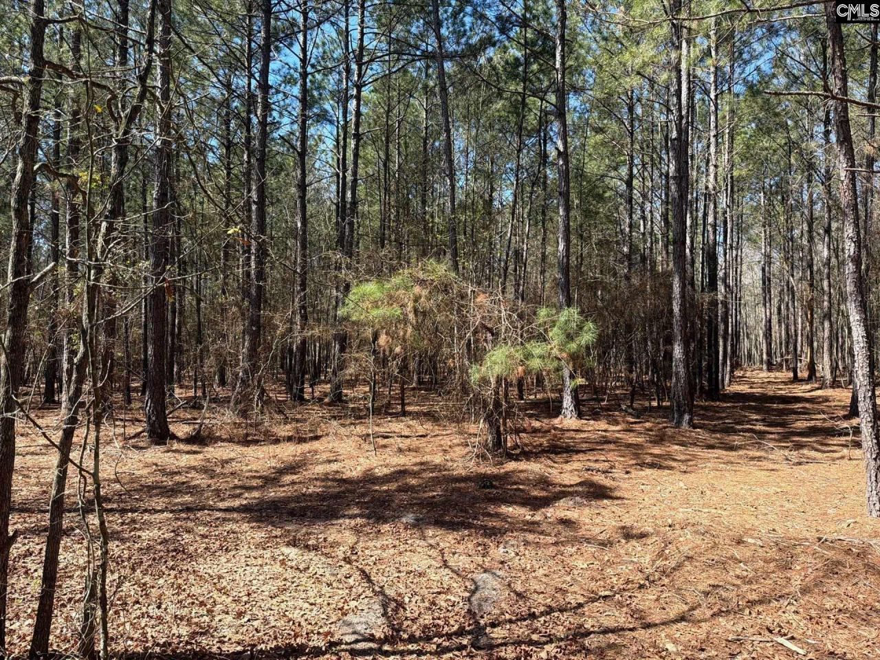 Bhl 11 Boise Cascade Road Photo 13