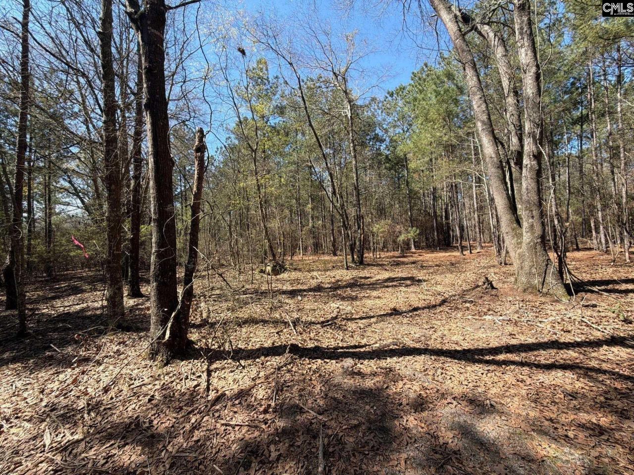 Bhl 11 Boise Cascade Road Photo 14