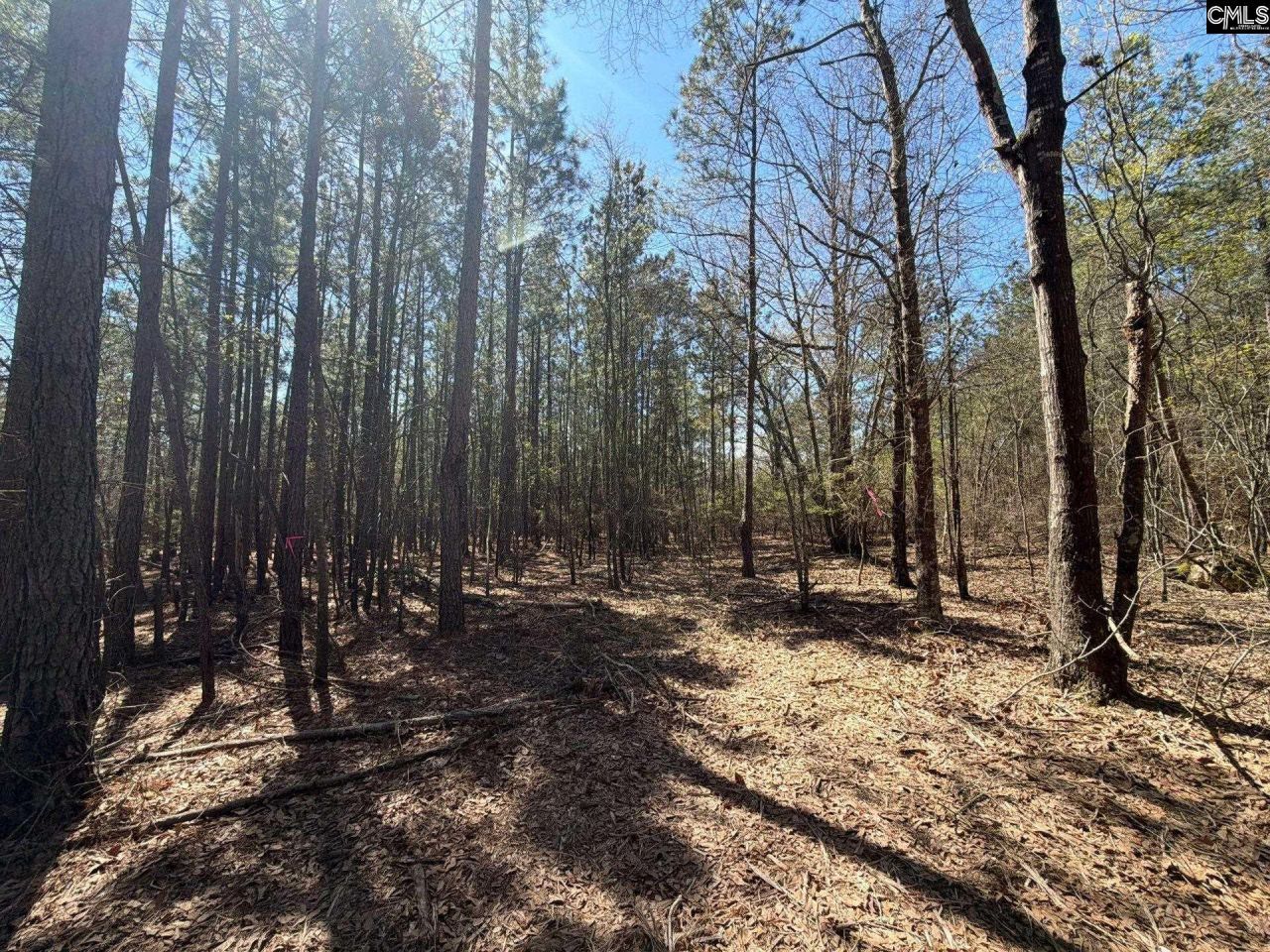 Bhl 11 Boise Cascade Road Photo 15