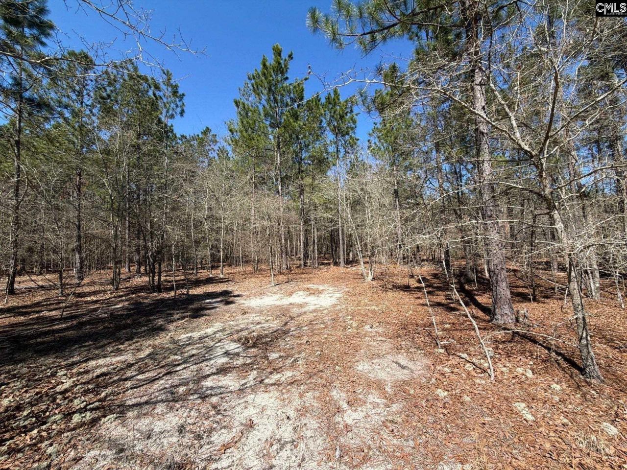 Bhl 11 Boise Cascade Road Photo 16