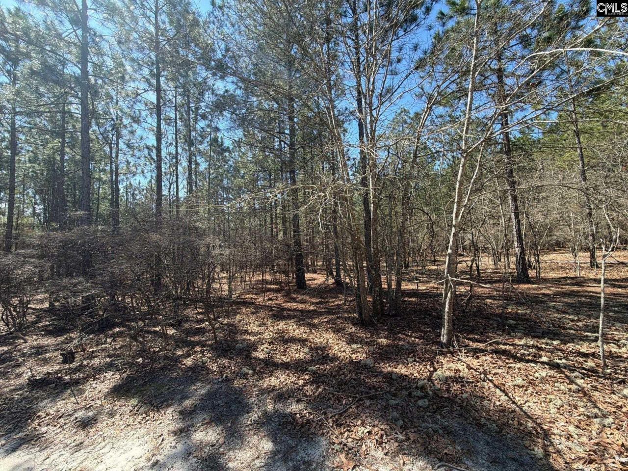 Bhl 11 Boise Cascade Road Photo 18