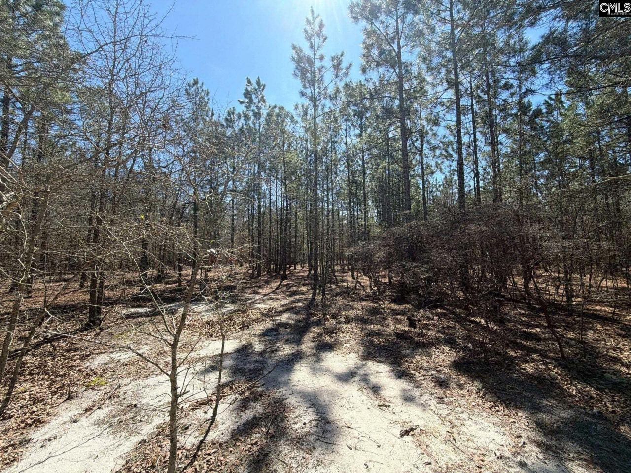 Bhl 11 Boise Cascade Road Photo 19