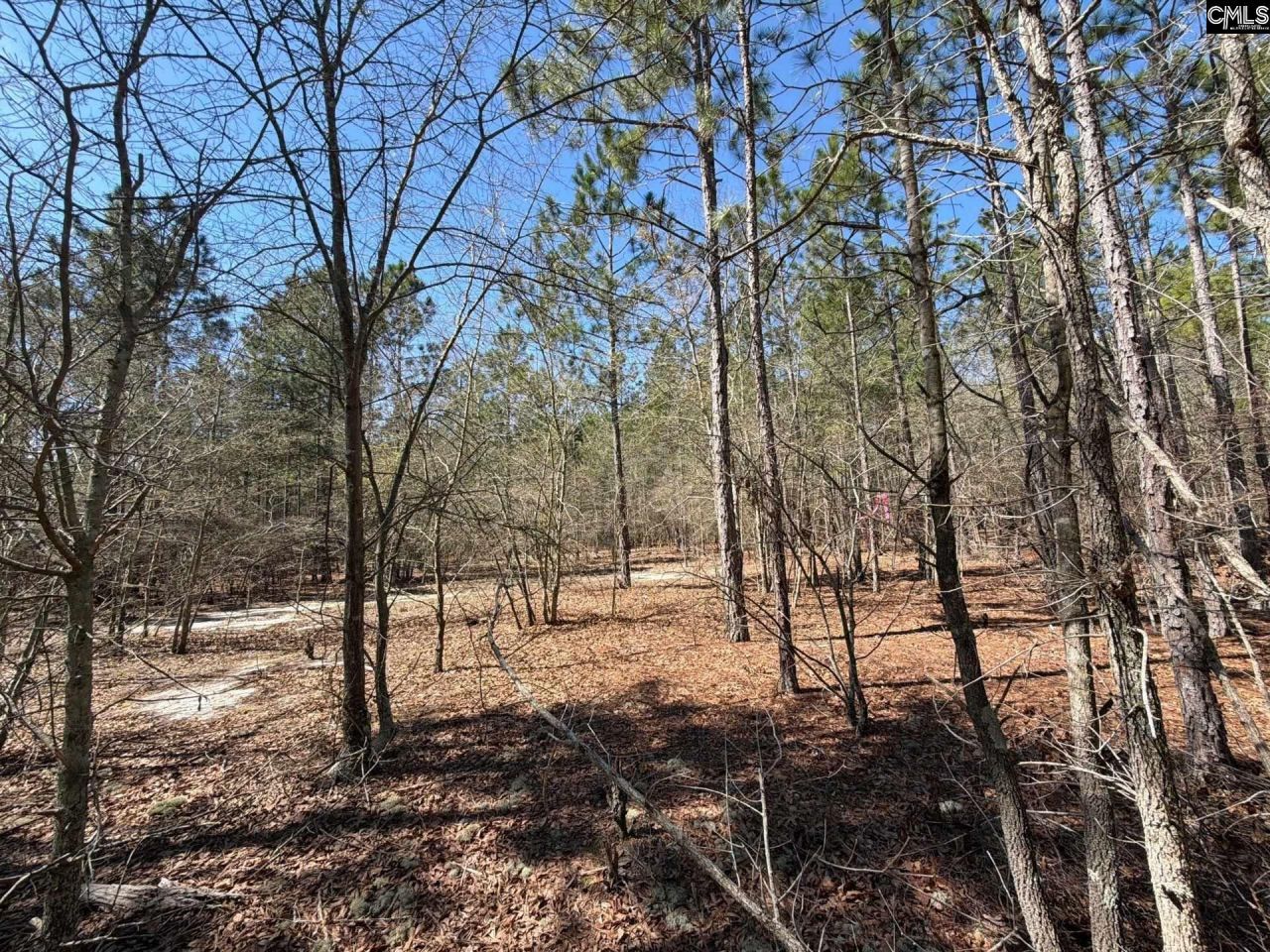 Bhl 11 Boise Cascade Road Photo 20