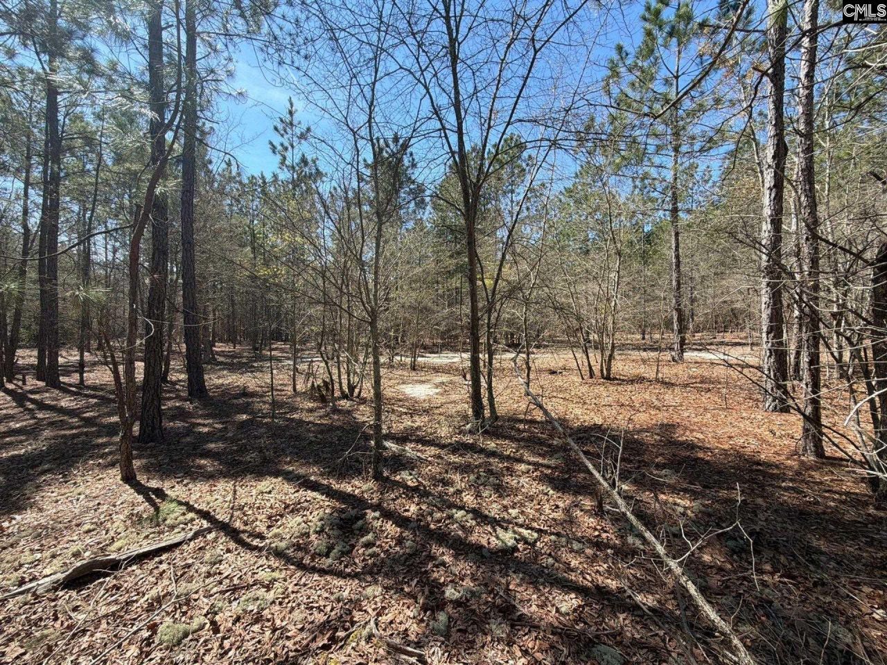 Bhl 11 Boise Cascade Road Photo 21