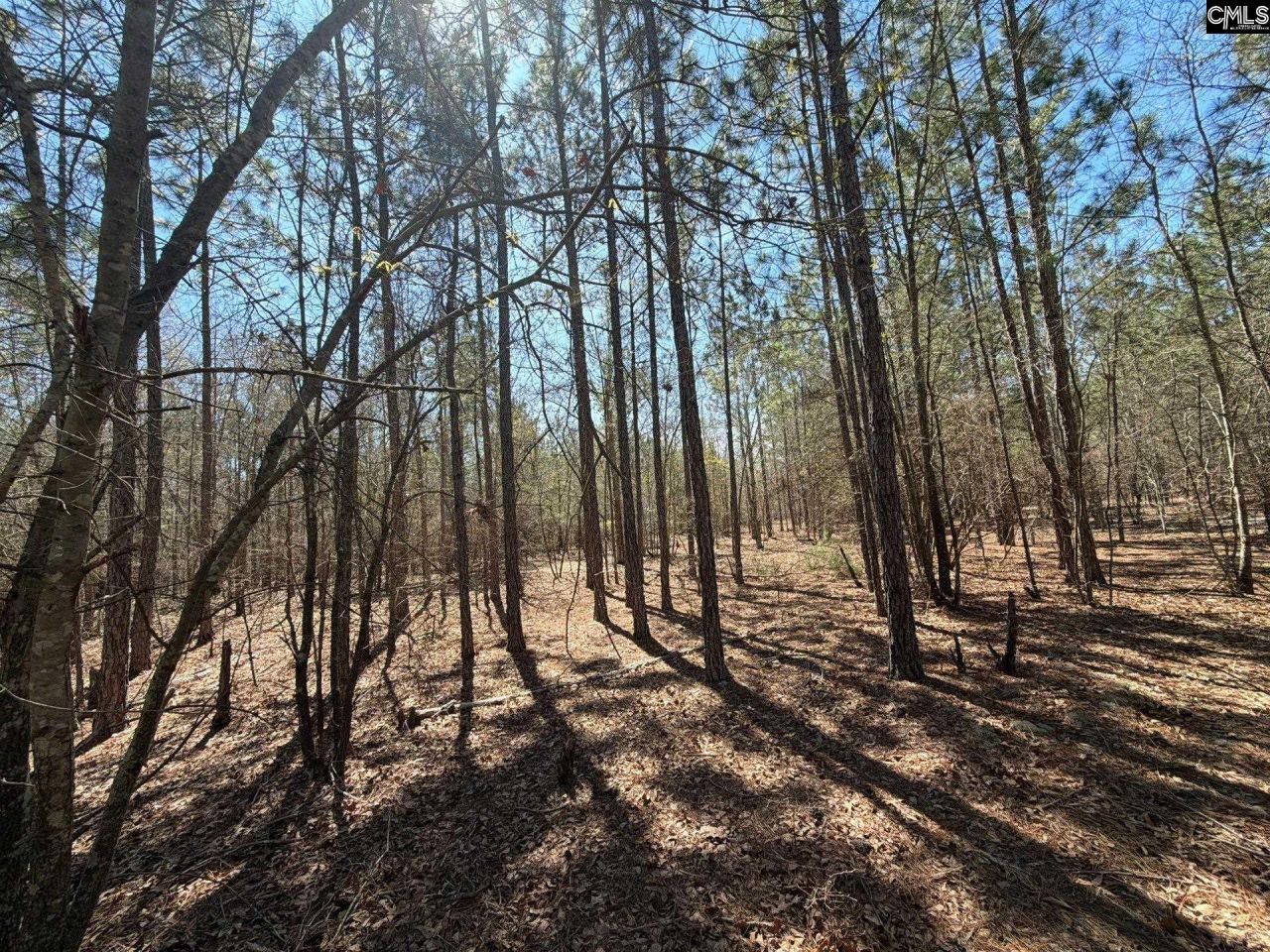 Bhl 11 Boise Cascade Road Photo 22