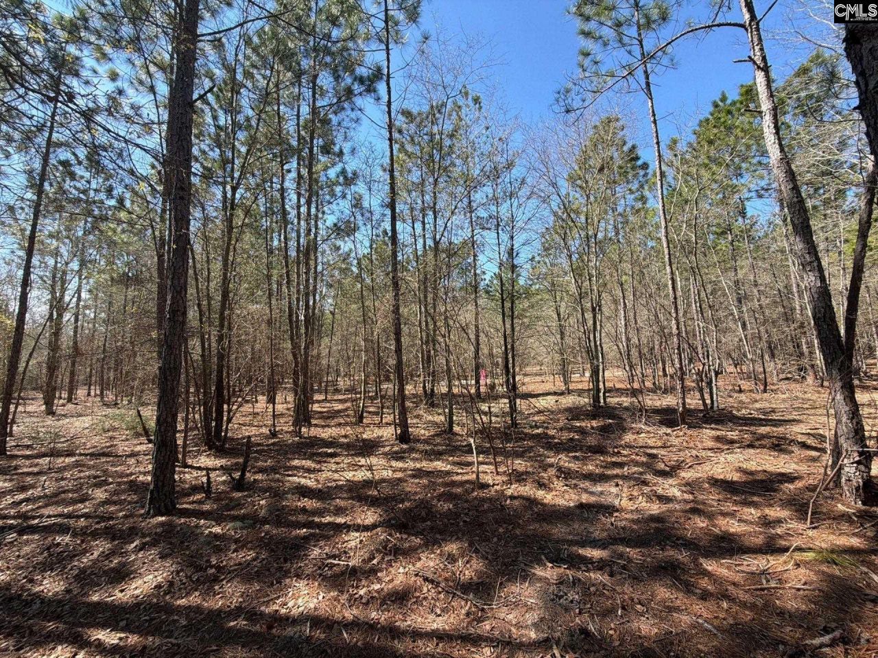 Bhl 11 Boise Cascade Road Photo 23