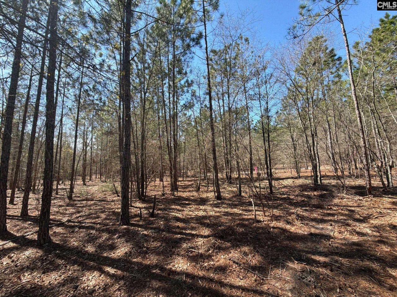 Bhl 11 Boise Cascade Road Photo 24