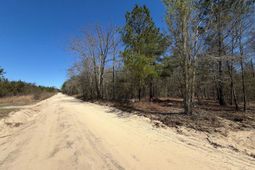 Bhl 11 Boise Cascade Road photo 4