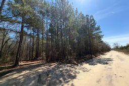 Bhl 11 Boise Cascade Road photo 4